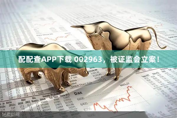 配配查APP下载 002963，被证监会立案！