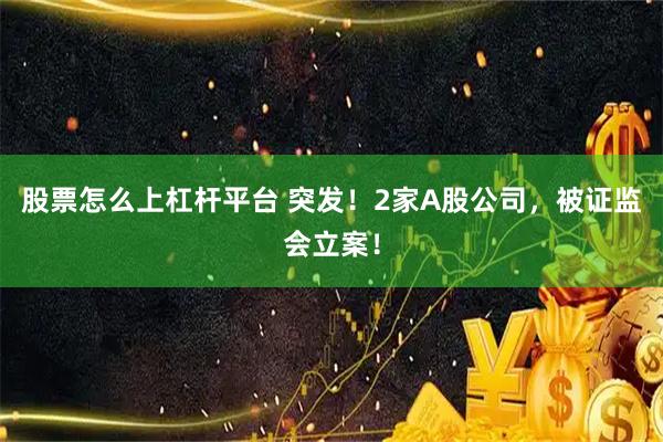 股票怎么上杠杆平台 突发!2家A股公司,被证监会立案!